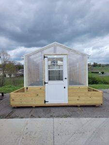 8x12 Limited Edition